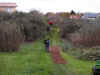 CIMG0061.JPG (252048 byte)