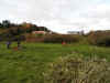 CIMG0067.JPG (247982 byte)