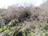 CIMG0077.JPG (374375 byte)