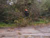 CIMG0144.JPG (269162 byte)