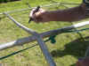 CIMG3966.JPG (118624 byte)